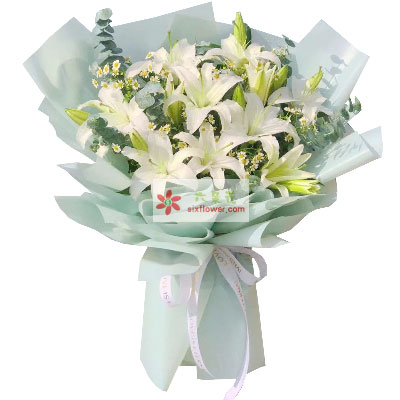 濮阳6支白色多头百合，温馨的祝福