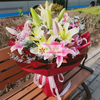 濮阳8支多头百合，万事如意喜上加喜