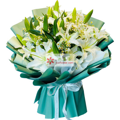 濮阳8支白色多头百合洋甘菊，如潮的思念