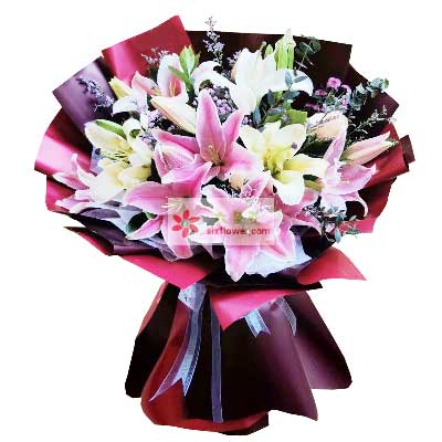 濮阳8支百合花，天天开心
