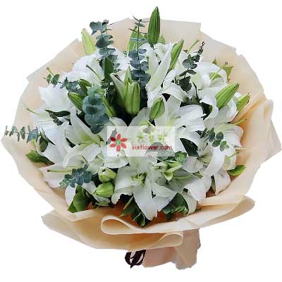 濮阳9支白色多头百合，祝福你幸福